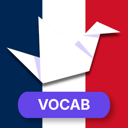 Fundamental Vocabulary to Learn French